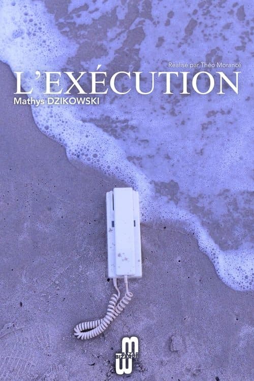 L'Exécution