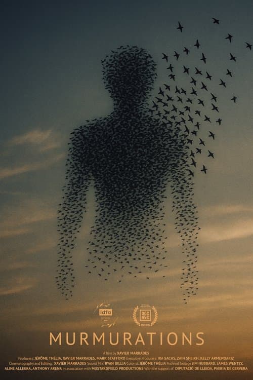 Murmurations