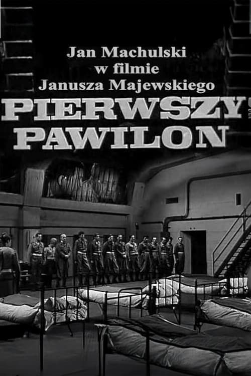 Pierwszy pawilon
