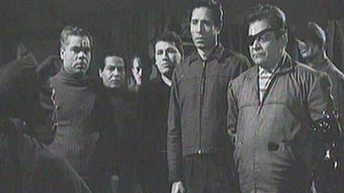 القط الأسود