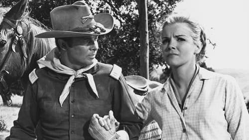 40 Guns to Apache Pass