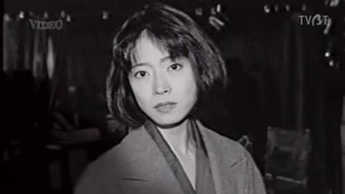 ファイル ボーダー