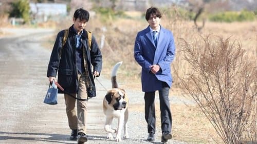 イチケイのカラス