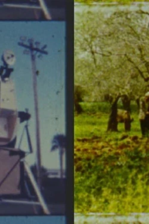 Memorias fragmentadas