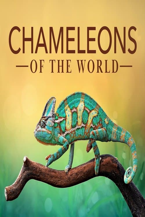 Chameleons of the World