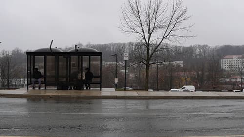 Gustavo & Sebas Go to McDonald's