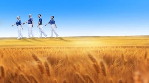 生命的麥田