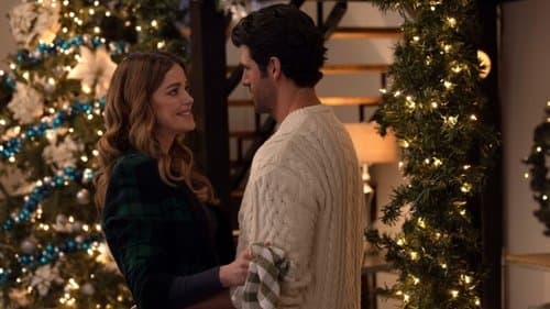 The Christmas Cookbook