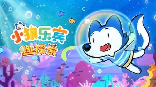小狼乐宾 趣探索