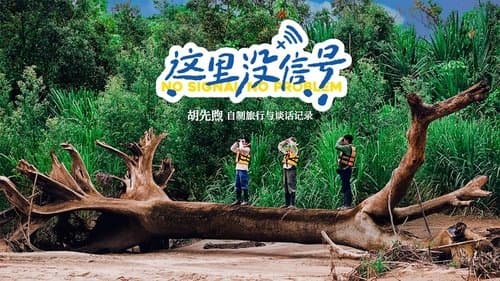 这里没信号